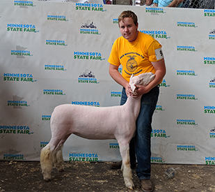 Netzke Winners